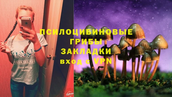 спайс Алексеевка