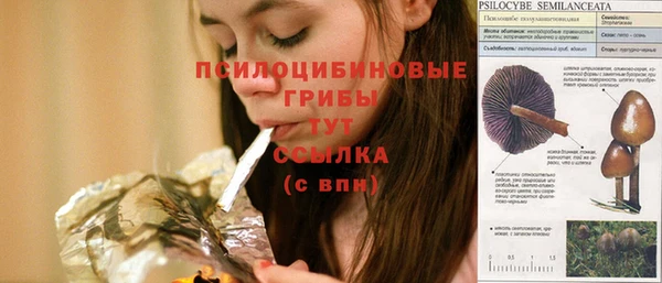 спиды Алзамай
